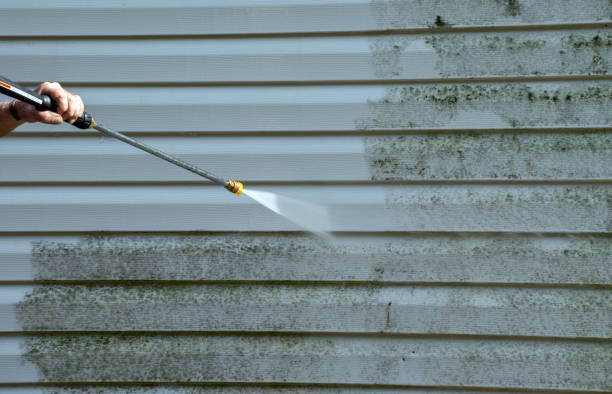 Roof Power Washing Services in Holtville, AL