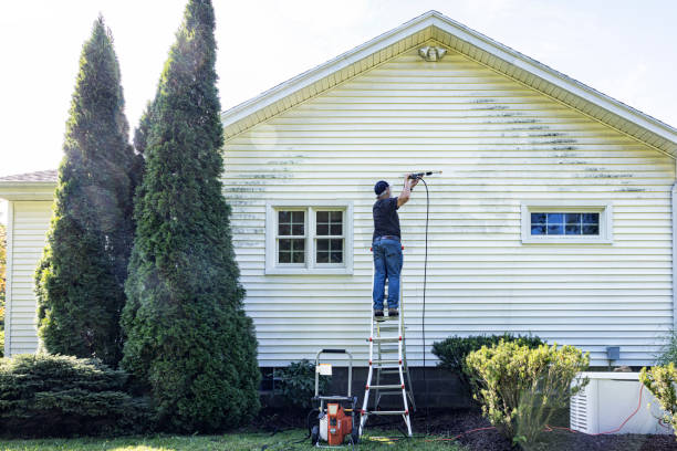 Why Choose Our Certified Pressure Washing Experts for Your Project Needs in Holtville, AL?